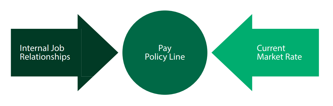 how-to-develop-an-organization-pay-policy